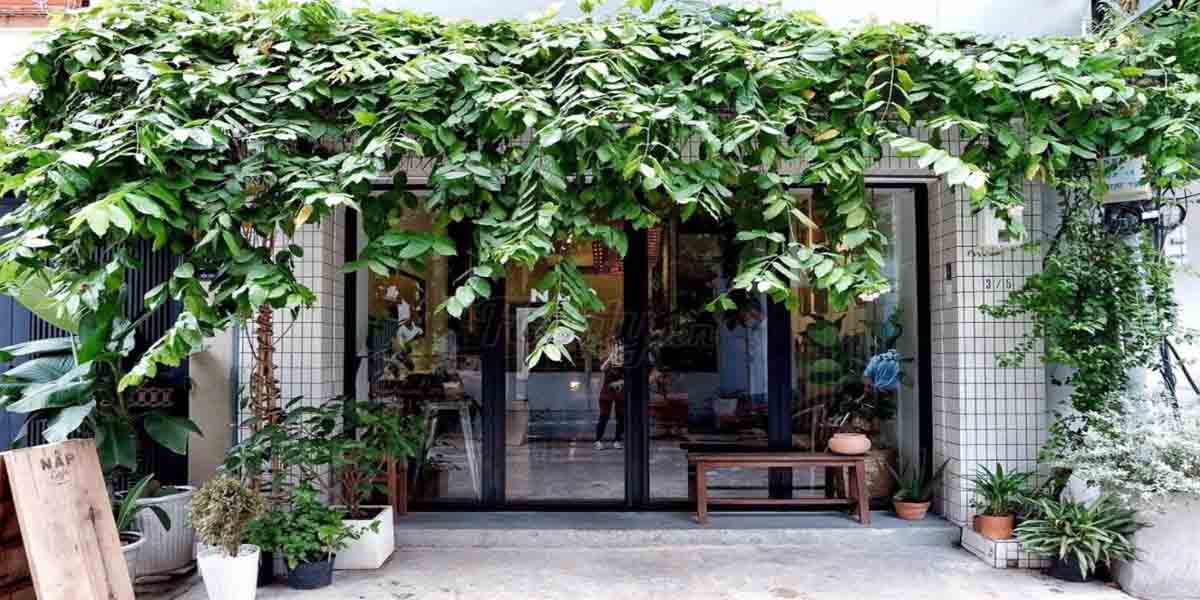 Quán Cafe Nấp Saigon tiệm cafe nhiều cây xanh quận 1